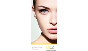 BLASHES Eyebrow Extensions prospectus pour client final, allemand ou français