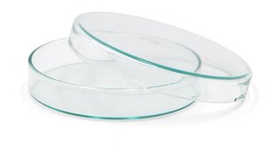 Bol Petri en verre clair