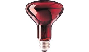 Infrared Bulb