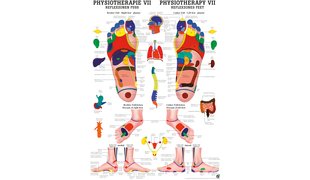 RÜDIGER Poster Physio VII