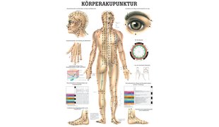 RÜDIGER Mini-Poster Körperakupunktur