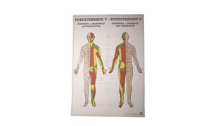 Rüdiger Mini Poster Physio V