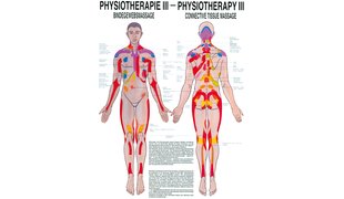 RÜDIGER Mini-Poster Physio III