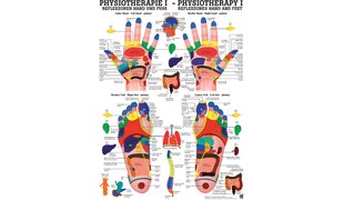 RÜDIGER Poster Physio I