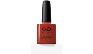 Color Collection 2022 Shellac