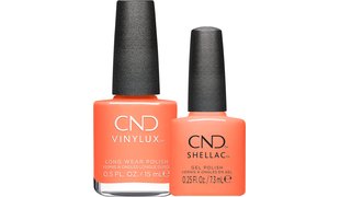 Upcycle Chic Collection Shellac